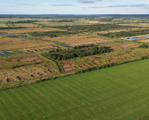 Luftbild Königsmoor