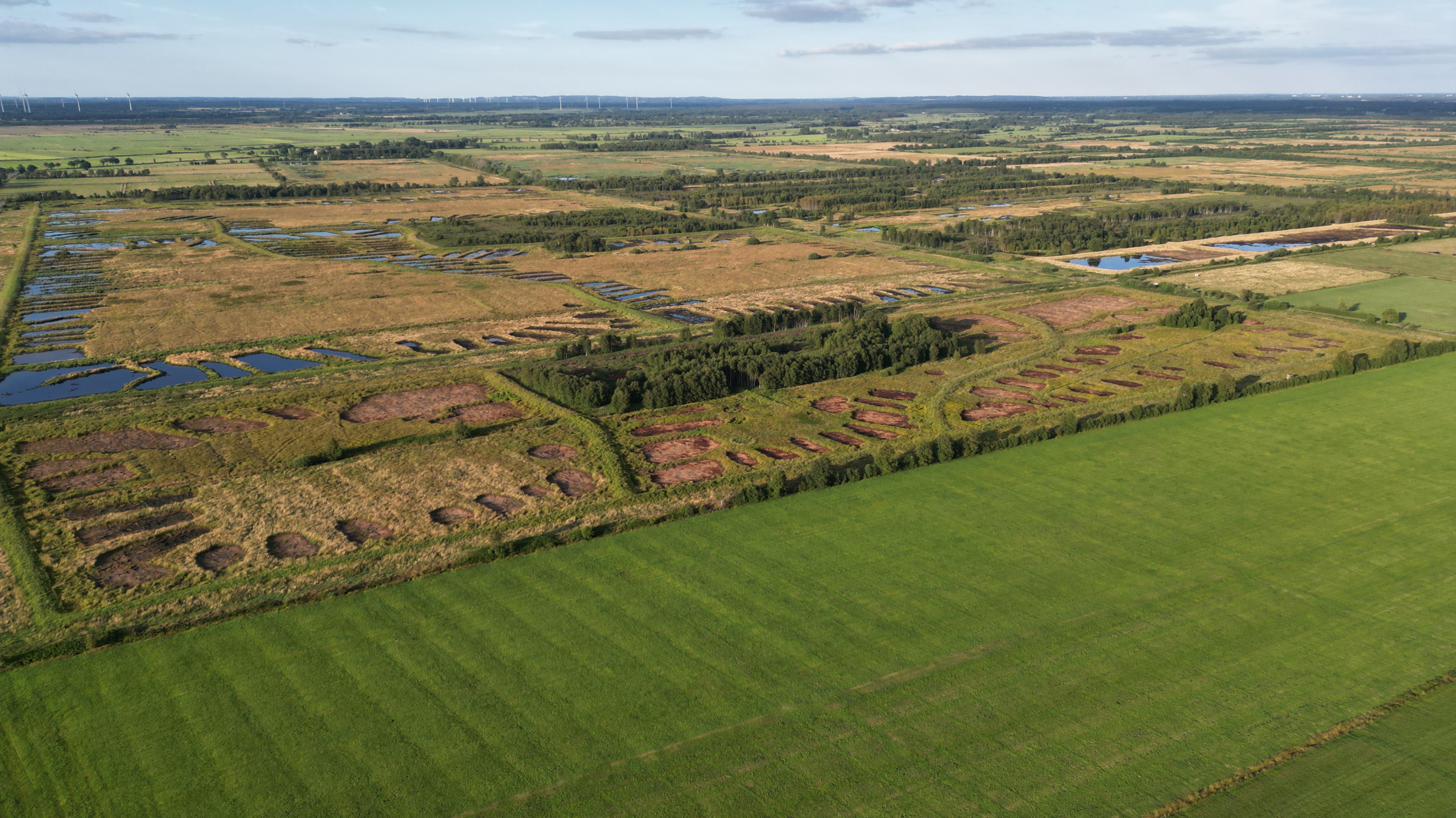 Luftbild Königsmoor