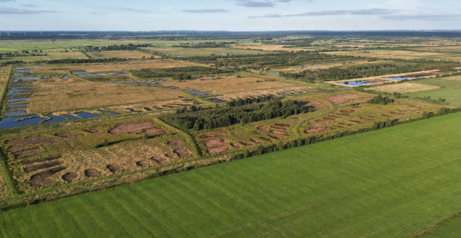 Moorlandschaft von oben